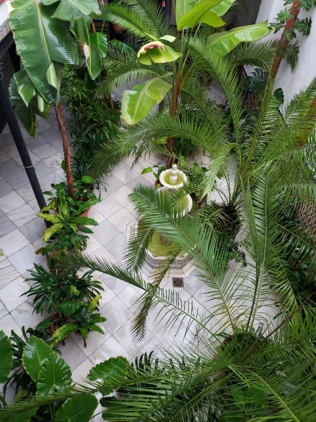 Greenery and tiles in the Andalusian patio