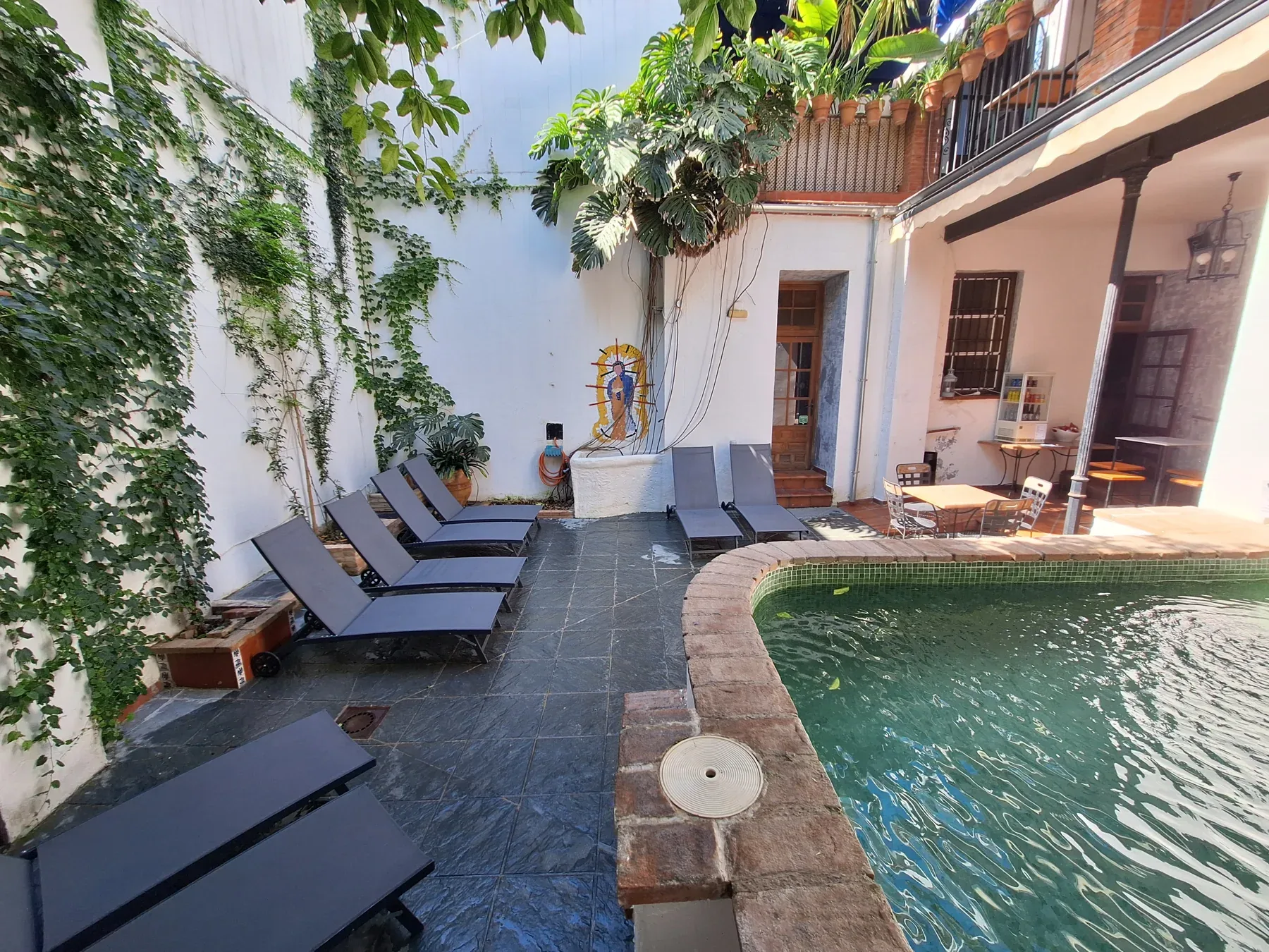 Hotel pool surrounded by plants