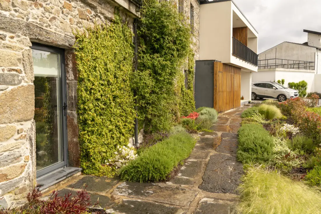 Un sendero de piedra bordea un jardín con plantas y un edificio moderno.