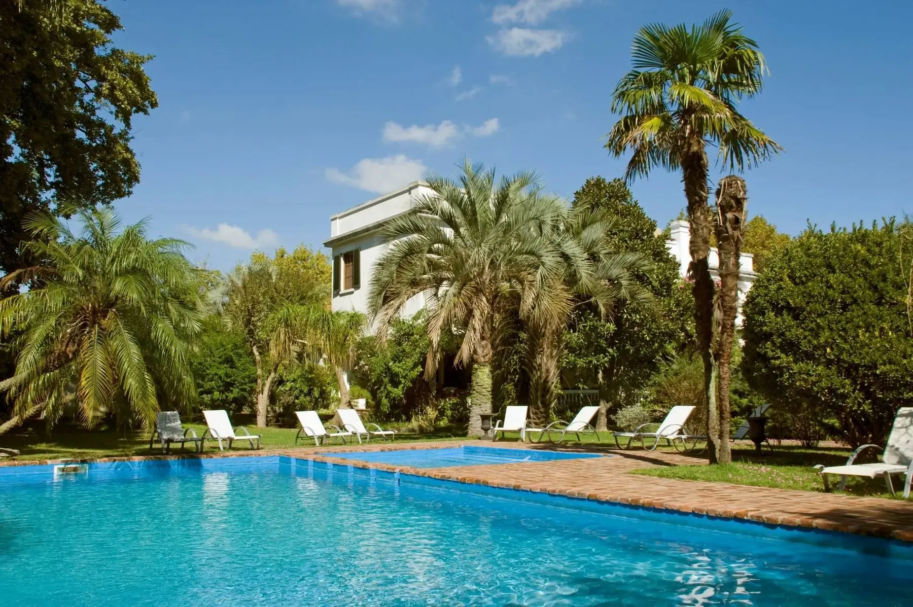 Piscina y reposeras entre palmeras