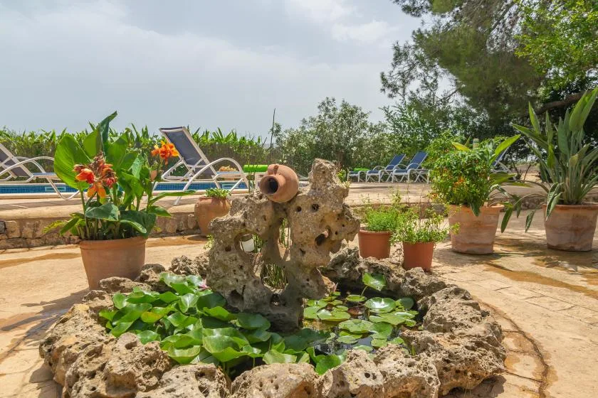 A garden pond with leafy plants sits beside an outdoor swimming pool.