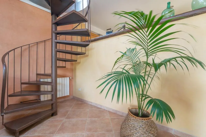 A spiral staircase rises beside a potted palm in a tiled interior.