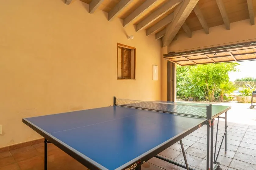 A covered outdoor area with a blue table tennis table and garden beyond.