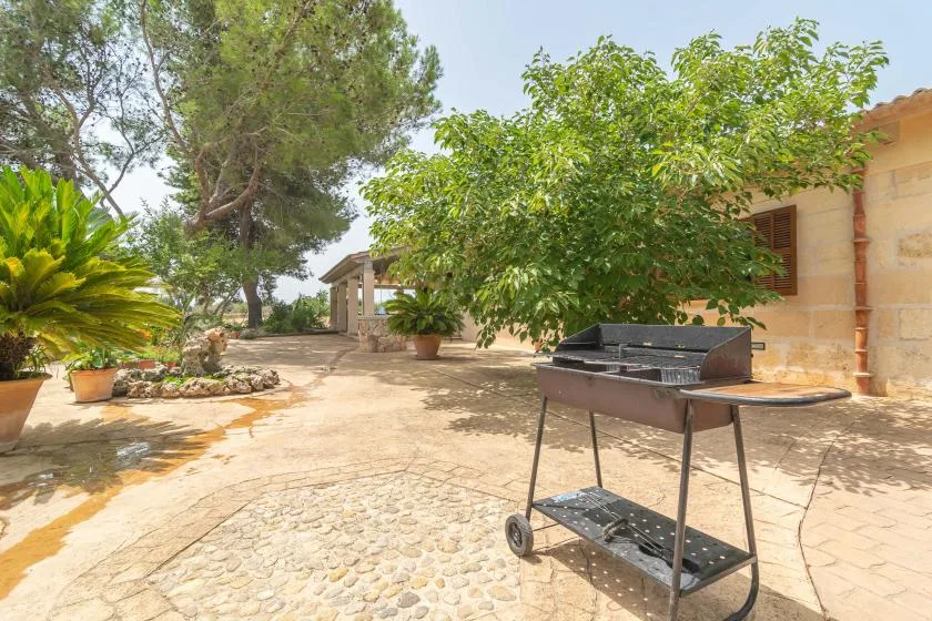 A sunlit stone courtyard with trees, potted plants, and a barbecue grill.
