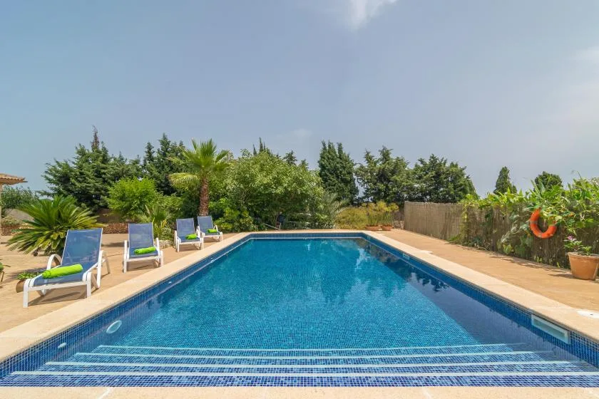 An outdoor swimming pool is surrounded by lounge seating and leafy greenery.