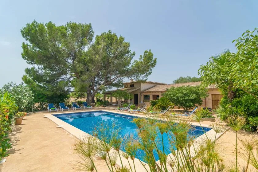 An outdoor swimming pool beside a single-story house, with trees and garden plants.