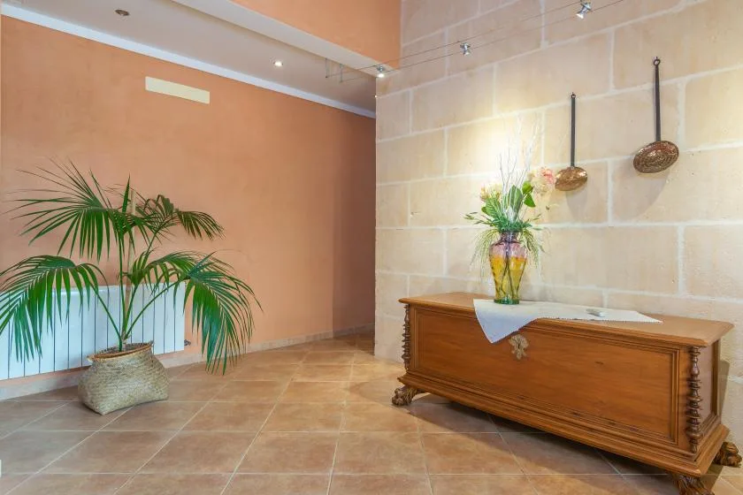 A tiled interior space features a wooden console table and a potted plant.