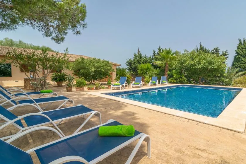 An outdoor swimming pool beside a sunlit patio with lounge seating.