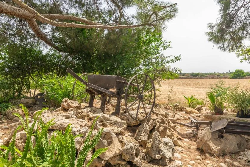 A rustic garden scene features a wheelbarrow among rocks and greenery.