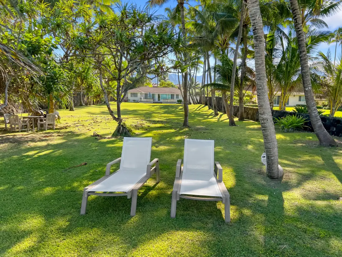 Un jardín tropical con césped y tumbonas bajo las palmeras.