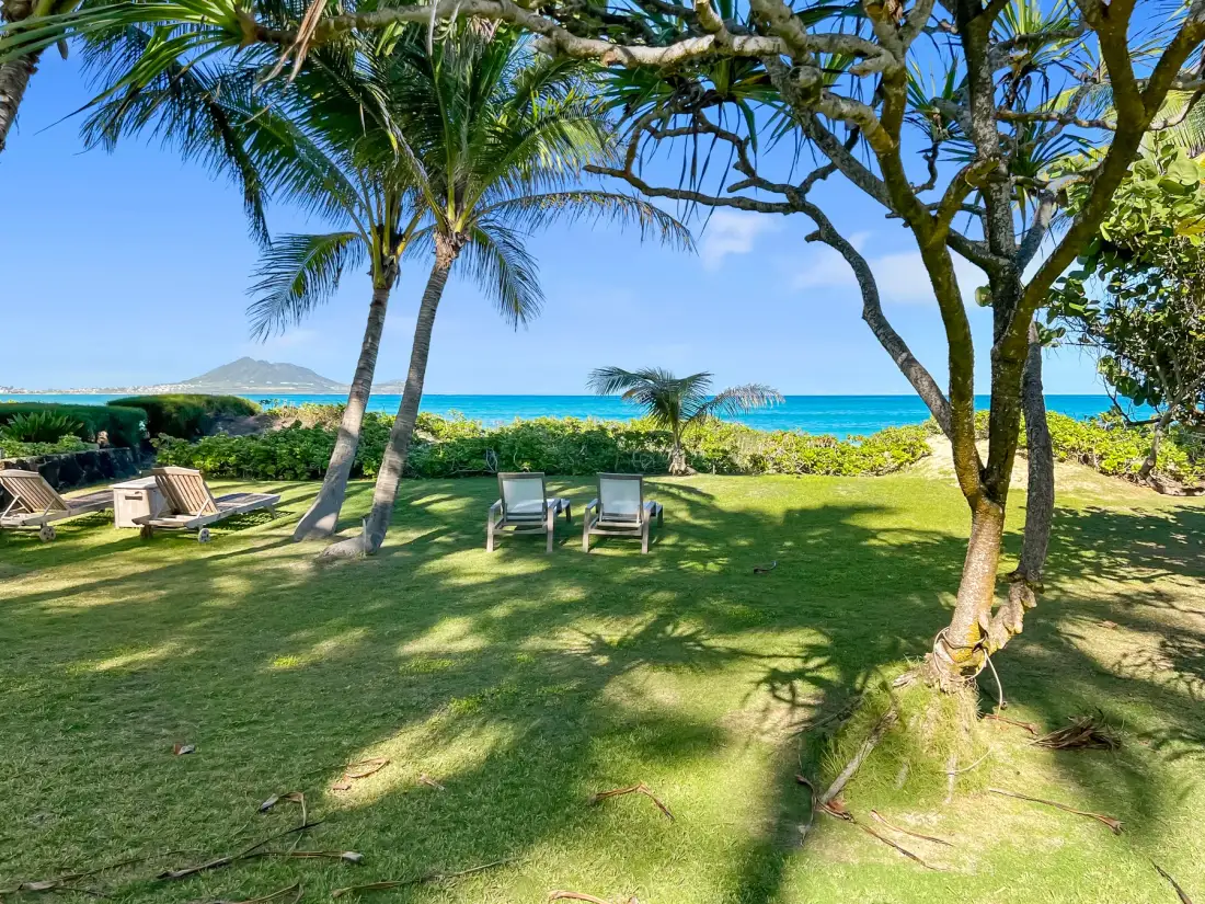 Un jardín junto al mar con césped, asientos, palmeras y vistas al océano.