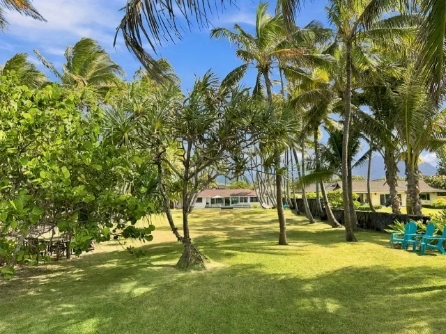 Un jardín tropical soleado con palmeras, césped verde y asientos al aire libre.