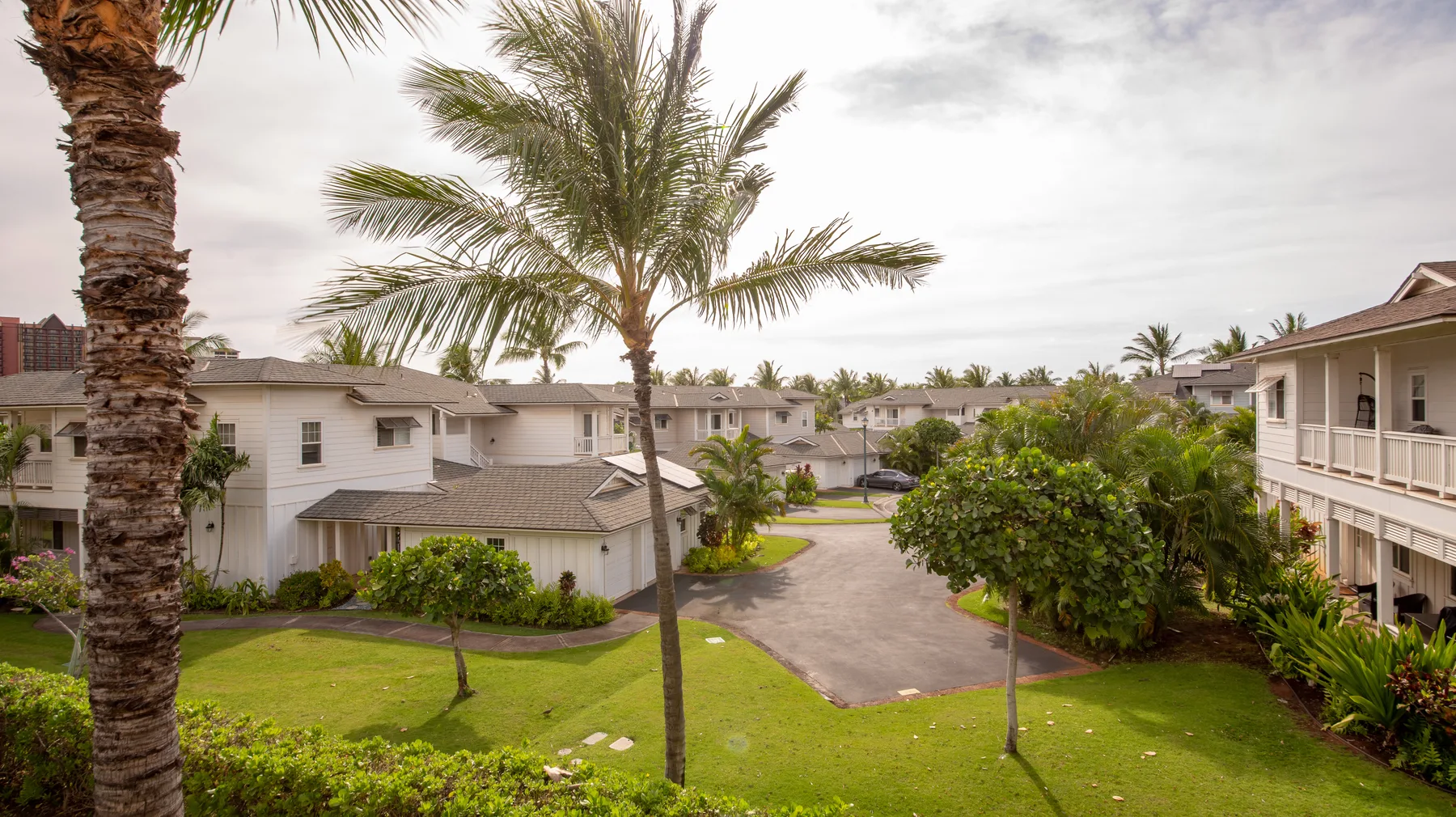 A landscaped residential complex with low-rise buildings, palm trees, and a paved courtyard.