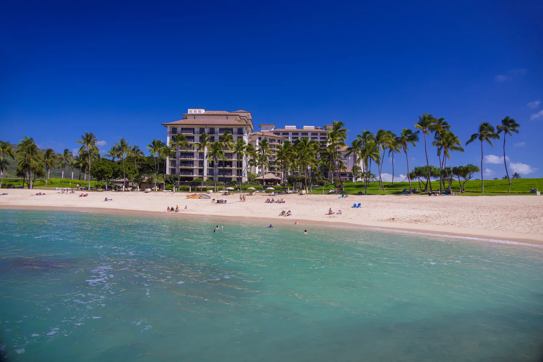 A beachfront resort stands behind a sandy beach lined with palm trees.