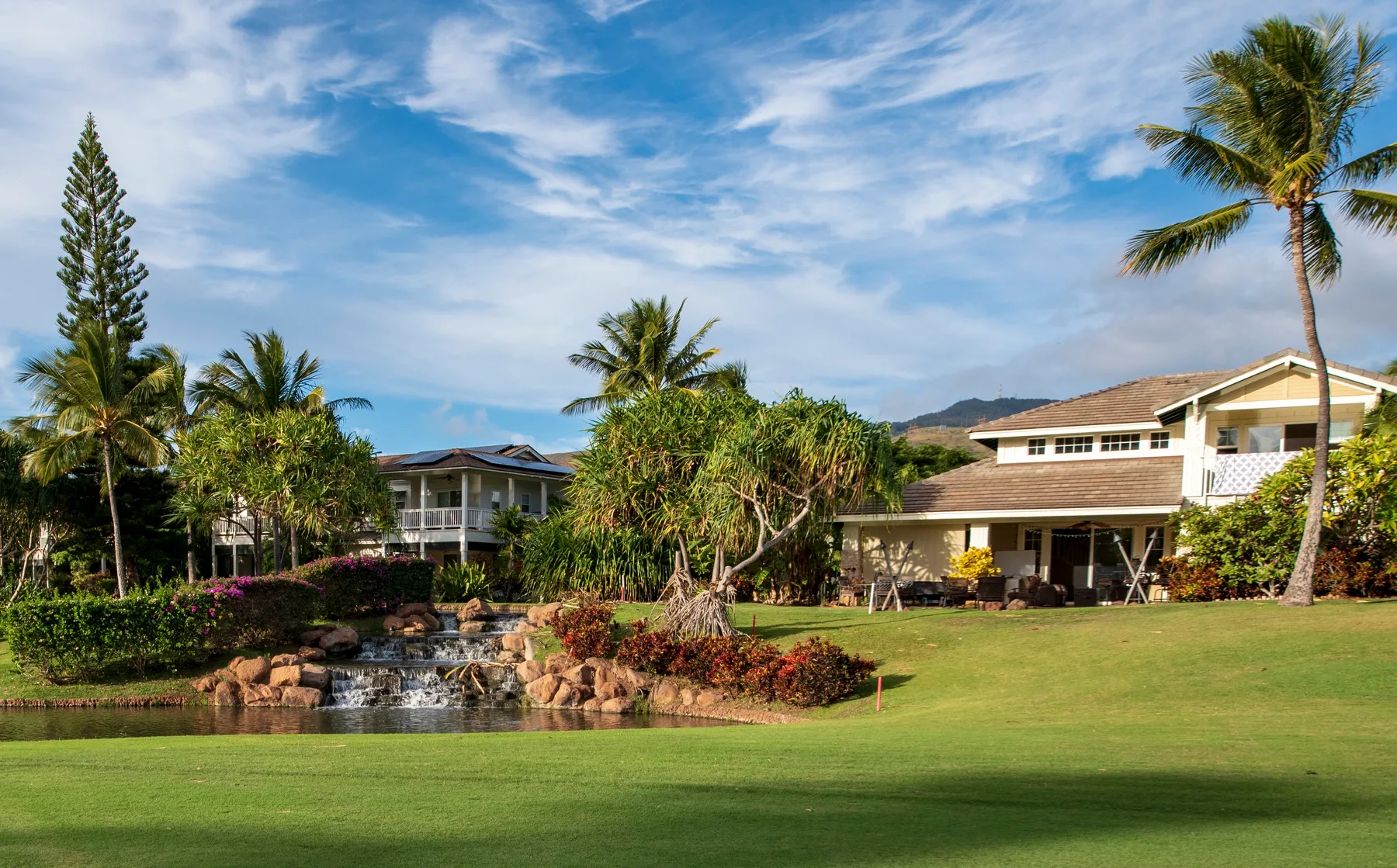 A landscaped garden with a small waterfall in front of houses and palm trees.