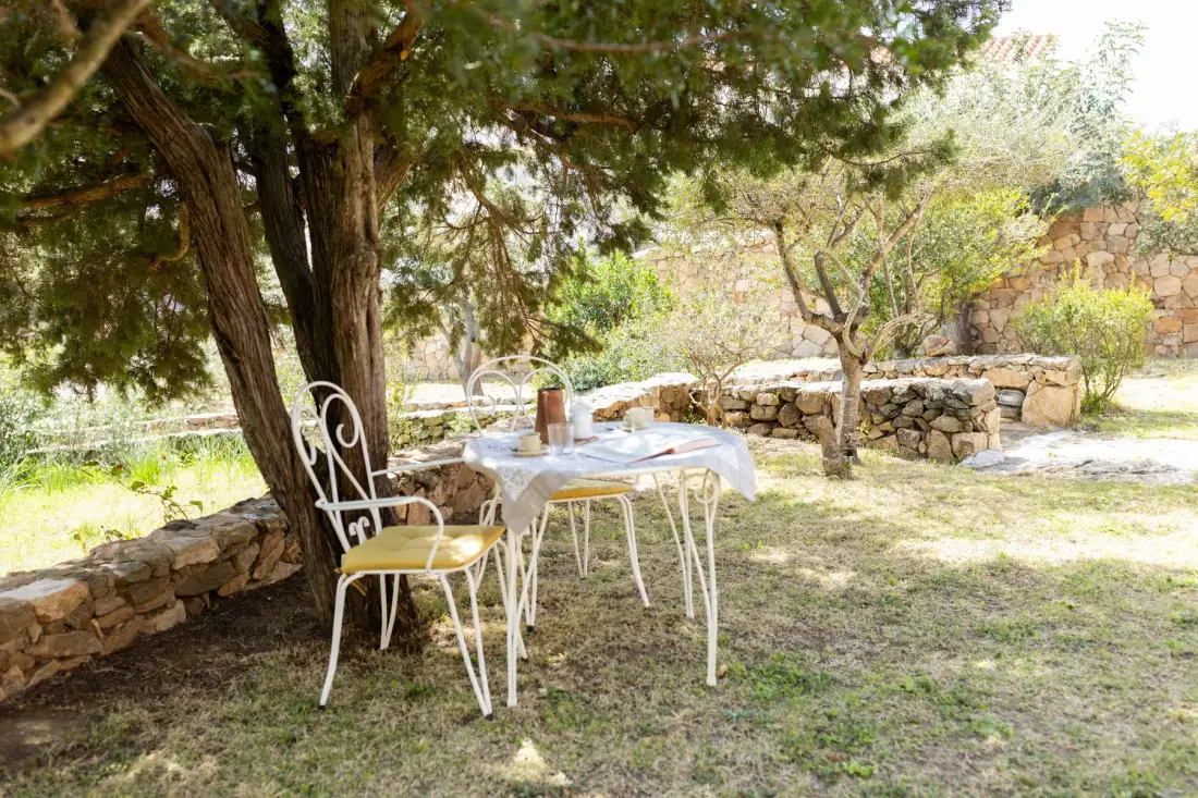 An outdoor dining area beneath a leafy tree, with a table and chairs.