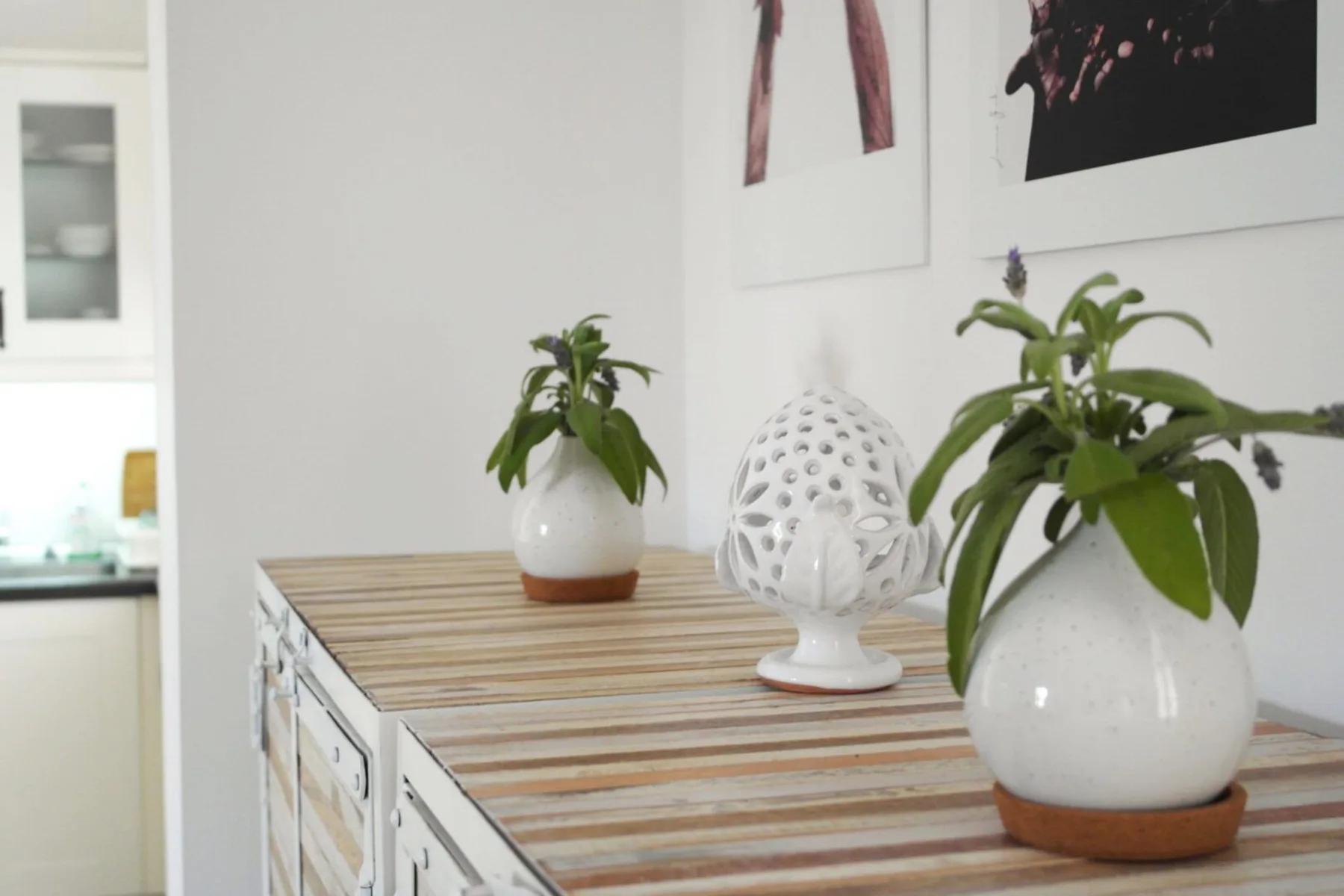 A bright interior features a striped console topped with potted plants and a white decorative ornament.