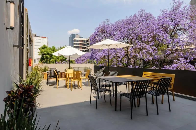 Warm 1BR in Polanco