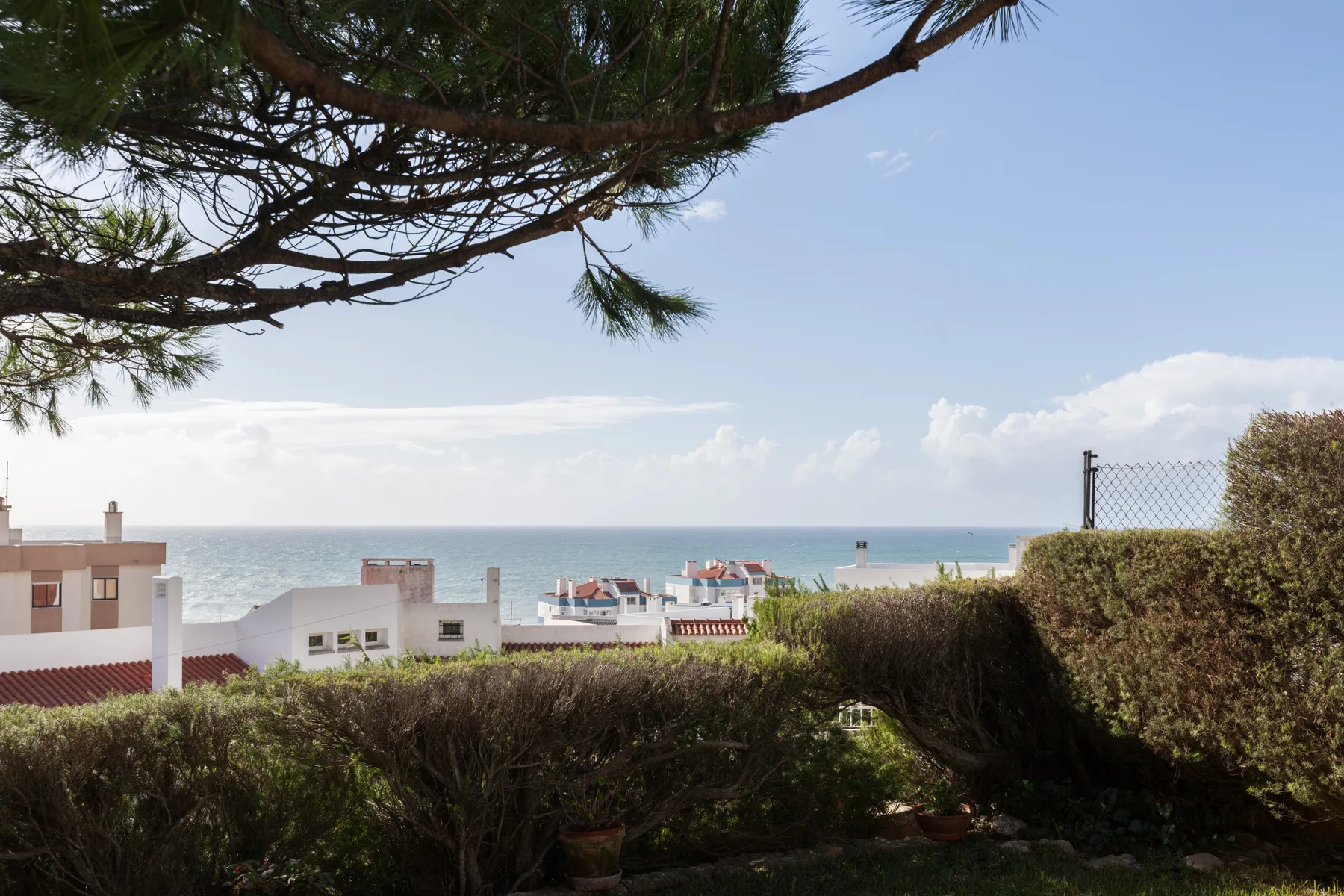 Coastal view of the sea and nearby buildings beyond a hedge.