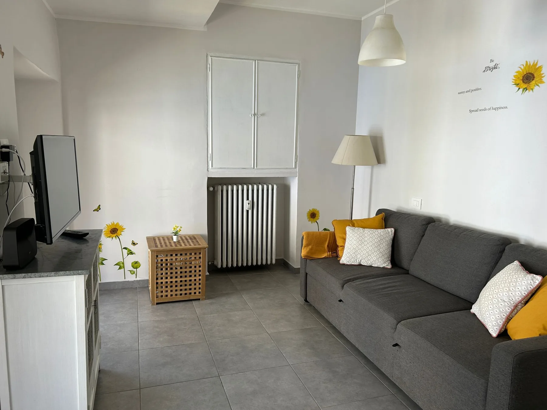 Una sala de estar con un sofá gris, un televisor y un radiador.