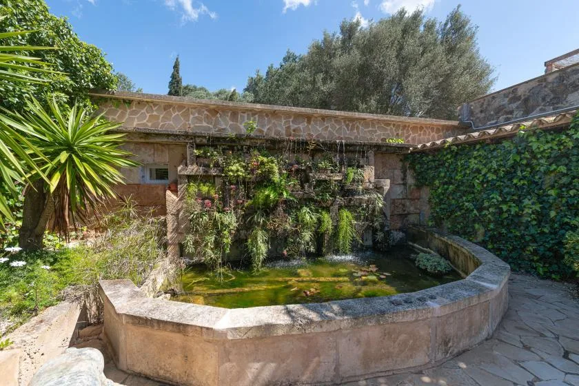 A stone courtyard garden features a shallow pond beneath a wall of greenery.
