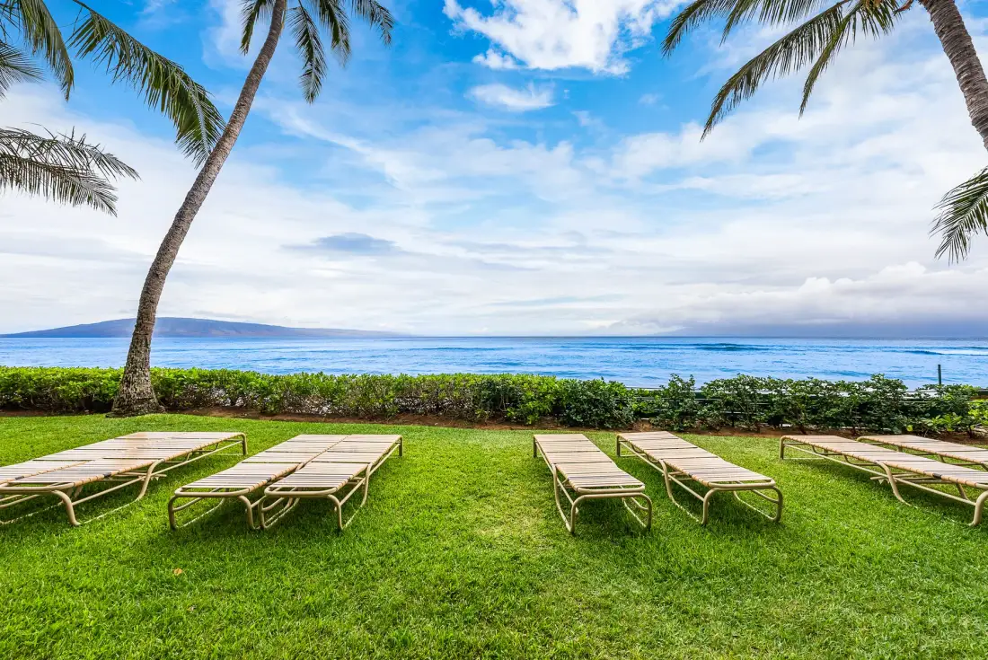 A grassy beachfront lawn with lounge chairs, palm trees, and ocean views.