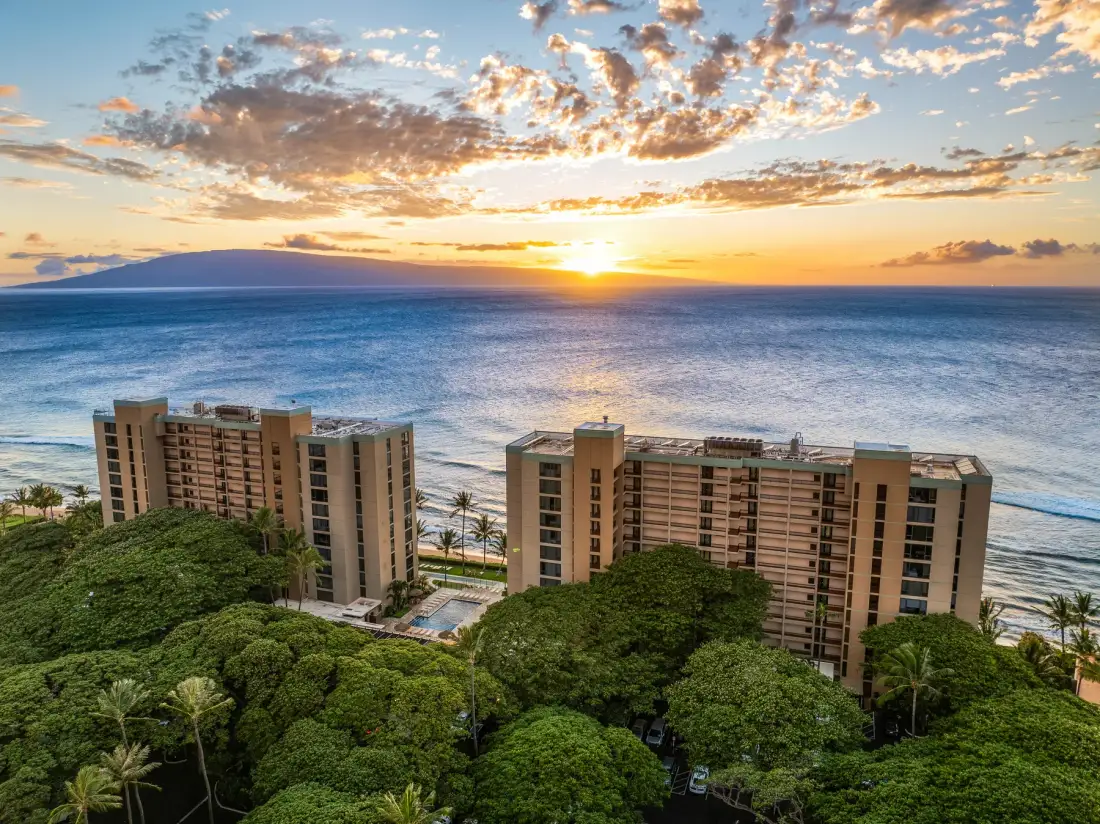 Oceanfront buildings and green trees sit beneath a colorful sunset sky.
