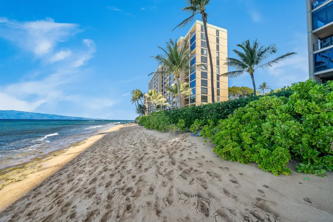 A sandy beach runs alongside the ocean, with greenery and tall buildings nearby.