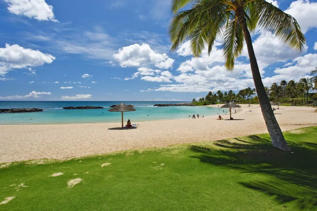 Una playa de arena junto a aguas turquesas, con una palmera en primer plano.