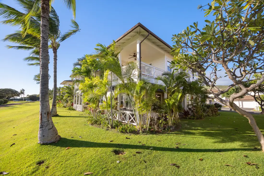 Coconut Plantation 1086-1