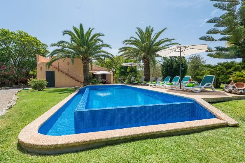An outdoor swimming pool surrounded by lawn, palm trees, and lounge chairs.