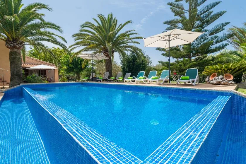 A swimming pool surrounded by palm trees, lounge seating, and umbrellas.