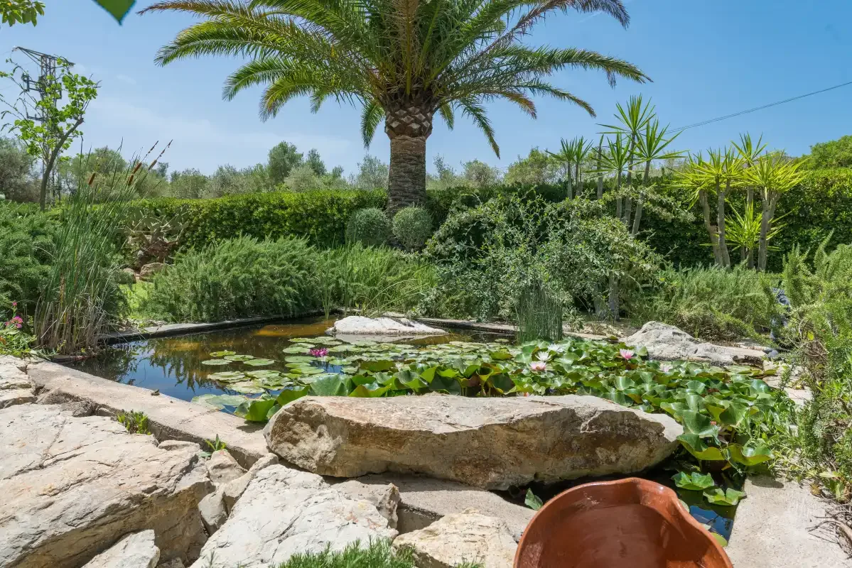 A garden pond with lily pads sits among rocks and lush greenery.