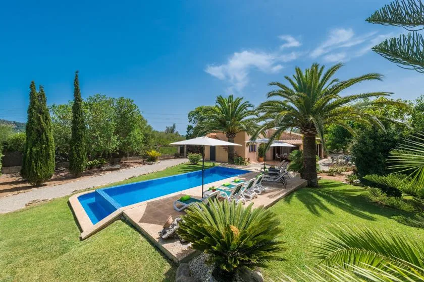 Outdoor pool beside a sunlit patio with lounge seating and palm trees.