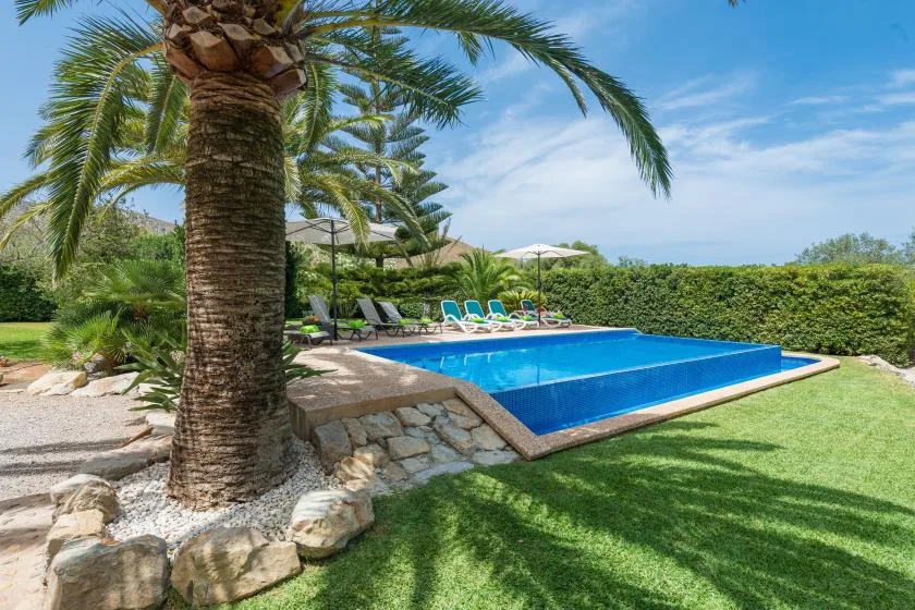 A swimming pool sits in a sunny garden bordered by hedges and palm trees.