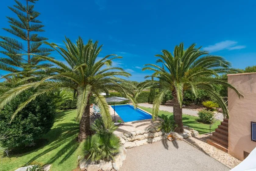 A swimming pool sits among palm trees and landscaped greenery.