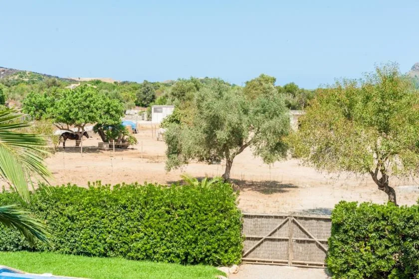 A rural yard with trees, hedges, and a wooden gate beneath a clear sky.