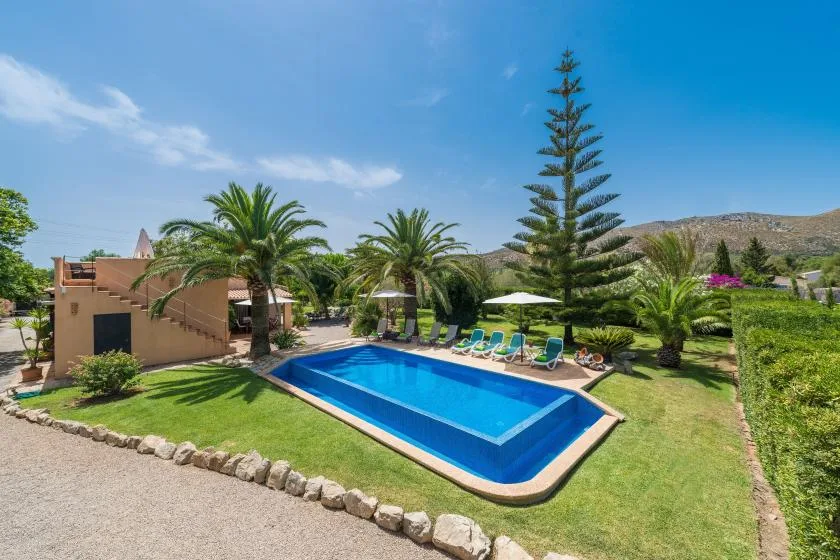 A blue swimming pool sits in a landscaped garden with palm trees and outdoor seating.