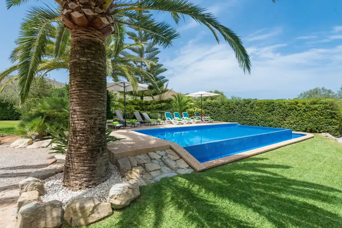 An outdoor swimming pool sits beside palm trees and a grassy lawn.