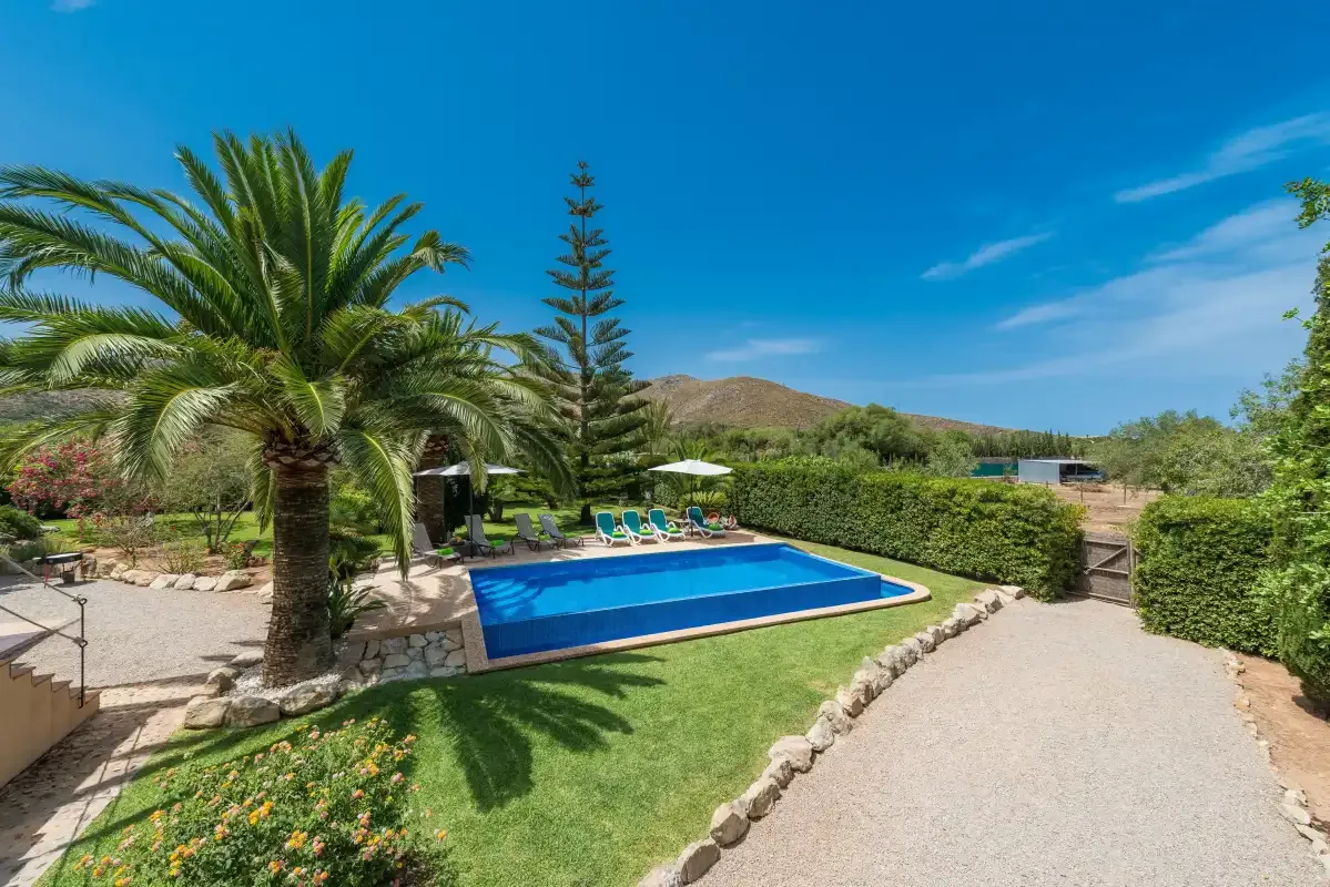 An outdoor swimming pool sits beside a palm tree and landscaped garden.