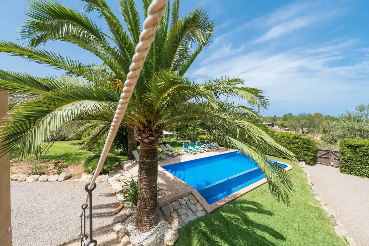Outdoor swimming pool beside palm trees and a grassy lawn.