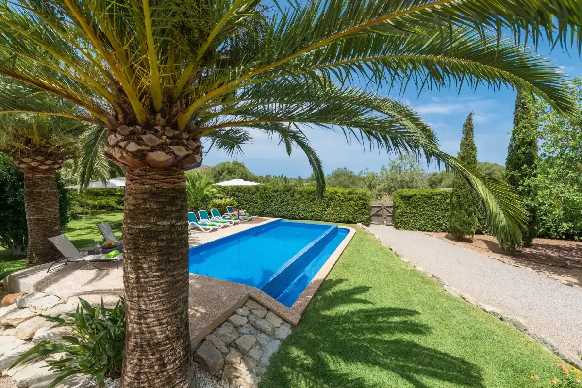 An outdoor swimming pool sits beside a lawn and palm trees.