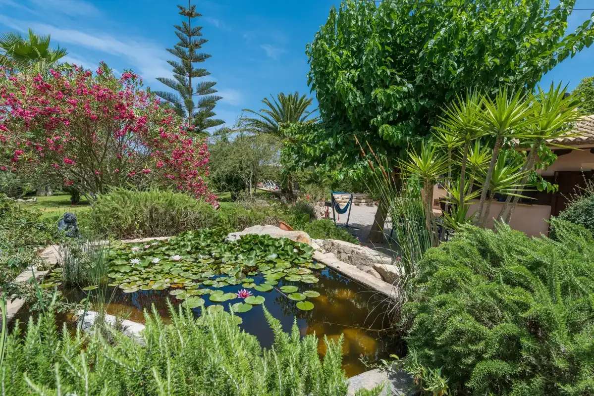 A landscaped garden surrounds a pond filled with lily pads.