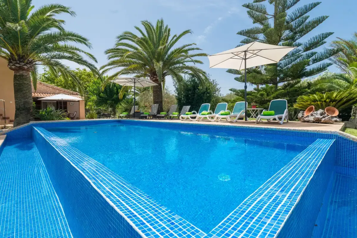 A swimming pool surrounded by greenery and several loungers.