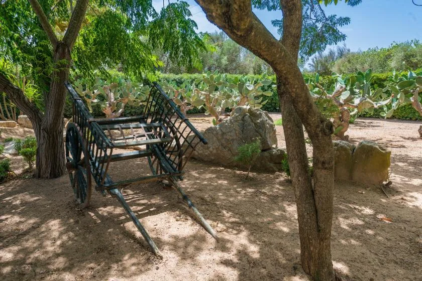 A shaded outdoor seating area with metal chairs beneath trees.