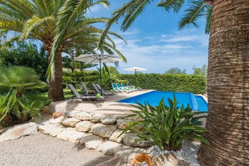 An outdoor swimming pool is surrounded by lounge seating and tropical plants.