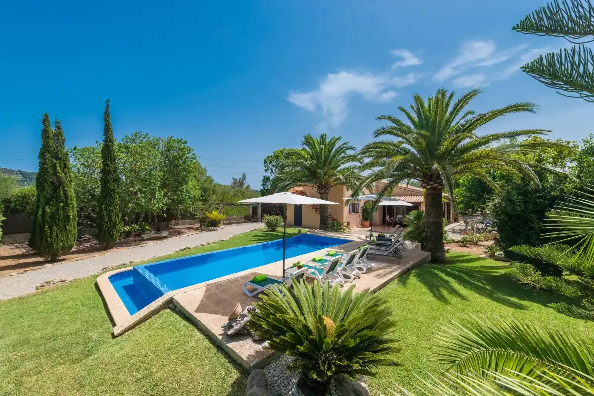 An outdoor swimming pool sits beside a sunlit lawn and palm trees.