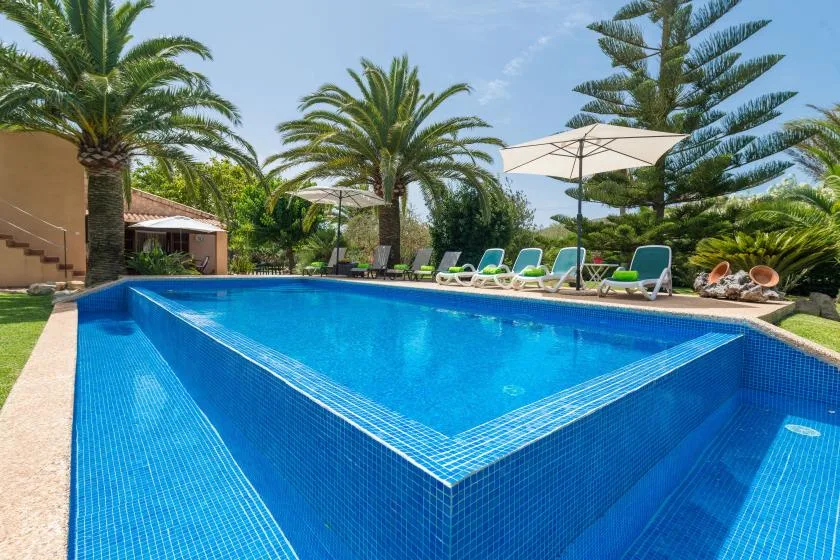 An outdoor swimming pool is surrounded by palm trees and lounge seating.