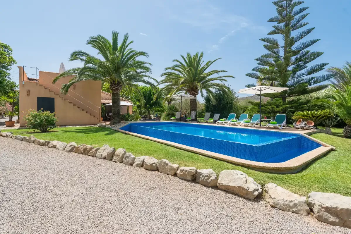 An outdoor swimming pool is surrounded by palm trees, loungers, and a gravel path.