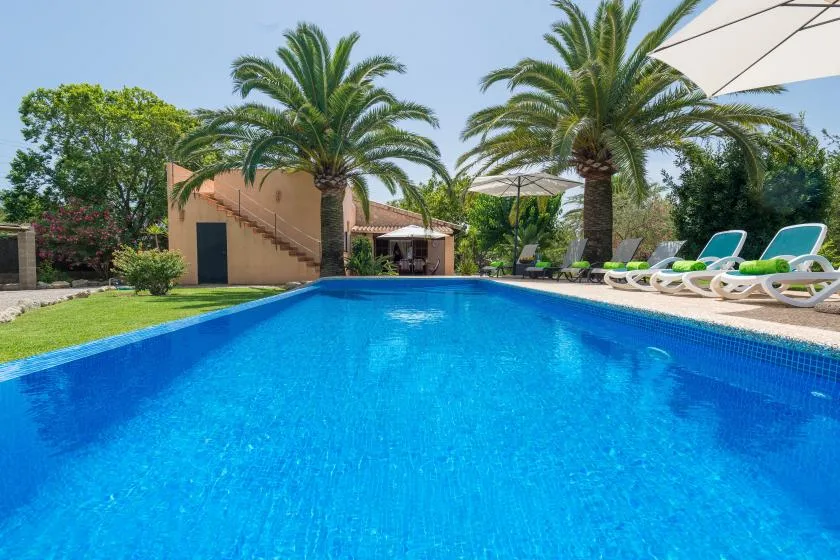 An outdoor swimming pool is surrounded by palm trees and lounge chairs.